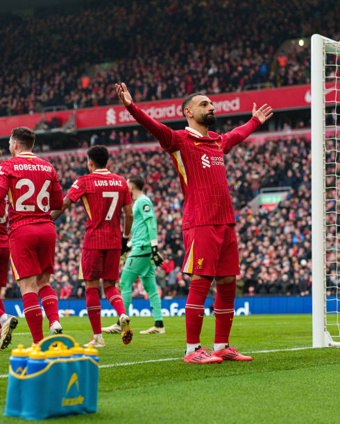 的活力与多 的活力与多